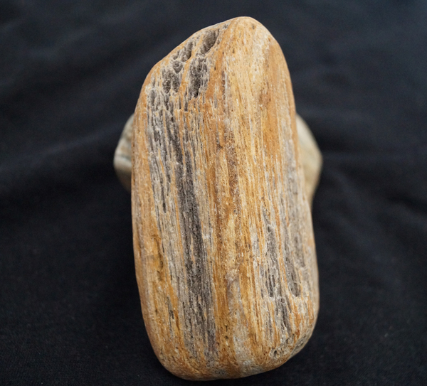 树化石 木化石原石 水冲木化石 奇石小摆件 精品小石头 收藏